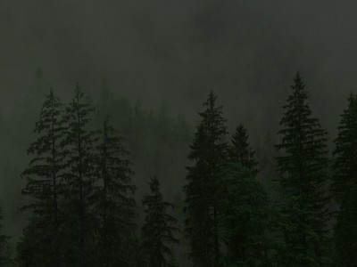 Zdjęcie z realizacji Testowa realizacja